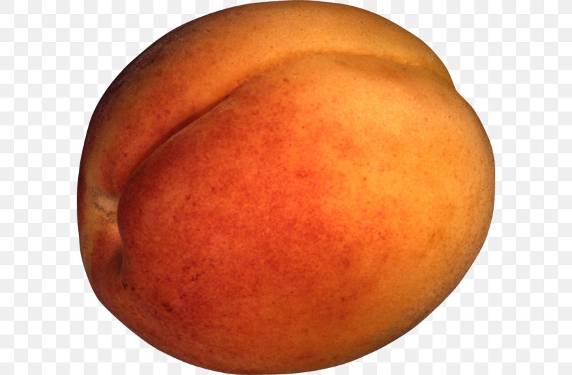 Nectarine Apricot Fruit Food, PNG, 600x538px, Nectarine, Apricot, Food, Fruit, Peach Download Free