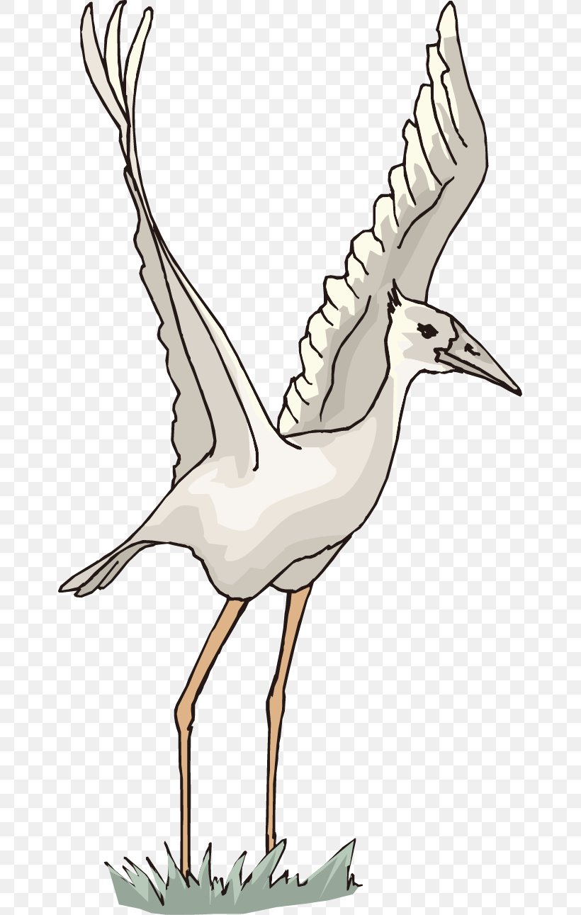 Red-crowned Crane Vector Graphics White Stork, PNG, 655x1291px, Crane, Art, Beak, Bird, Common Crane Download Free