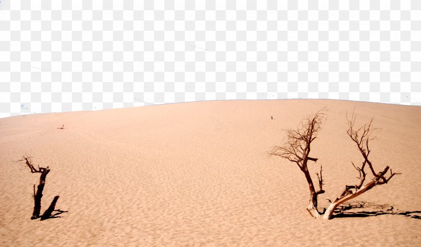 Sahara Erg Desert Singing Sand, PNG, 3861x2270px, Sahara, Aeolian Landform, Desert, Dune, Ecoregion Download Free