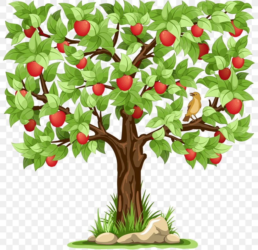 Apple Stock Photography Clip Art, PNG, 800x796px, Apple, Branch, Depositphotos, Floral Design, Flower Download Free