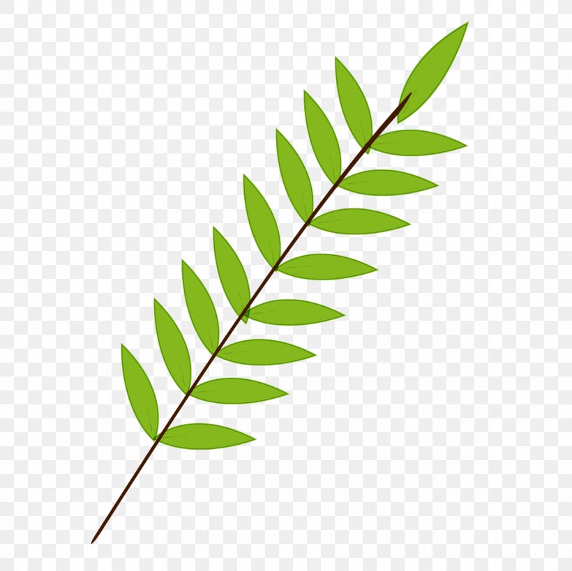 Branch Leaf Green, PNG, 1181x1181px, Branch, Color, Green, Leaf, Plant Download Free