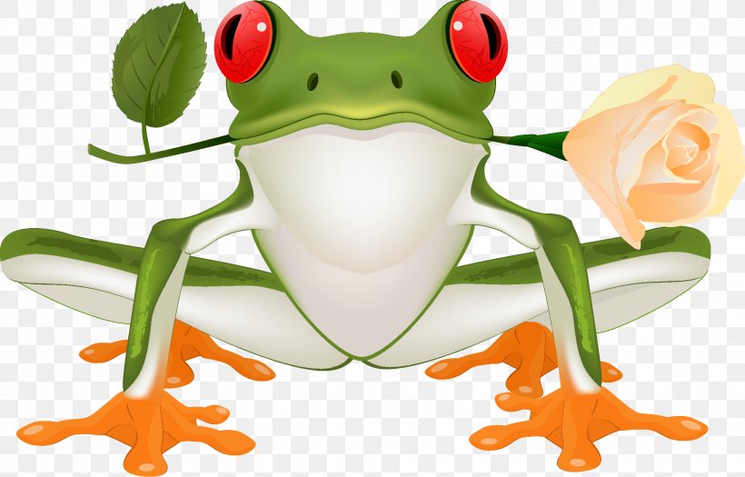 Frog, PNG, 2245x1439px, Frog, Agalychnis, Amphibian, Australian Green Tree Frog, Clip Art Download Free