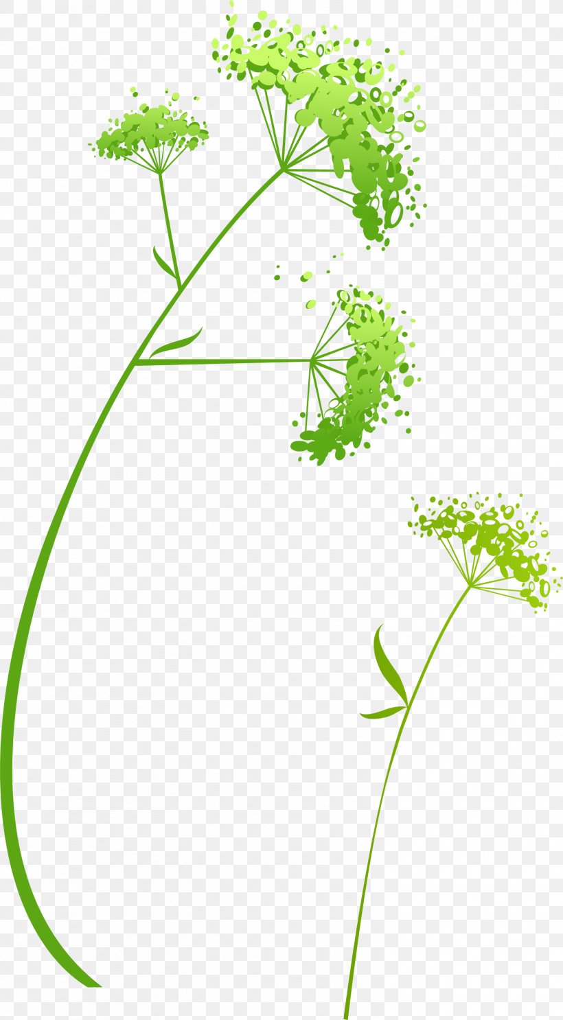 Green Flower, PNG, 1501x2721px, Green, Area, Branch, Flora, Flower Download Free