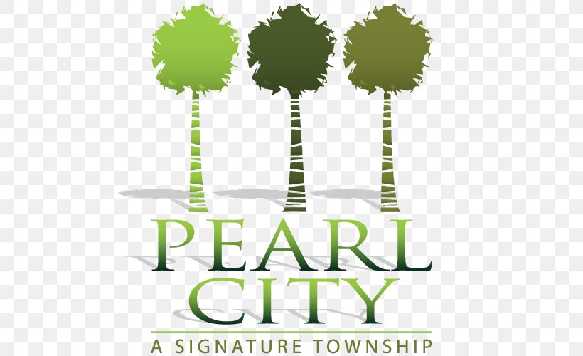 Pearl City Perai Township Tasek Saujana Permai, PNG, 500x500px, Pearl City, Brand, Energy, Facebook, Grass Download Free