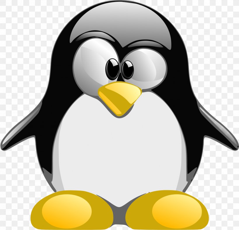 Tux Racer Penguin Linux, PNG, 2000x1934px, Tux Racer, Beak, Bird, Computer Software, Flightless Bird Download Free