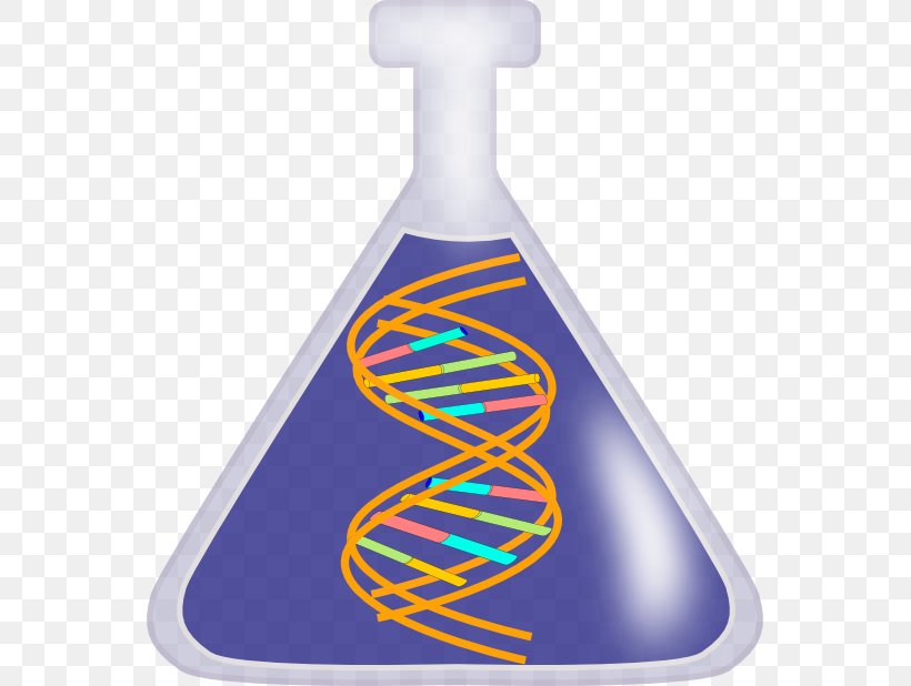 DNA Nucleic Acid Double Helix Free Content Vector Clip Art, PNG, 555x618px, Dna, Blue, Cobalt Blue, Dna Replication, Electric Blue Download Free