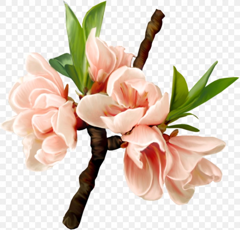 Flower Blossom Clip Art, PNG, 1090x1047px, Flower, Artificial Flower, Blossom, Bmp File Format, Cut Flowers Download Free