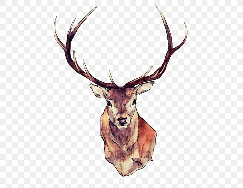 Reindeer Moose Elk Tattoo, PNG, 500x634px, Deer, Abziehtattoo, Antler, Deer Hunting, Drawing Download Free