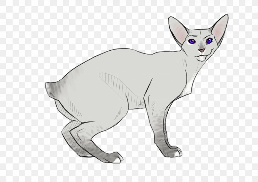 Whiskers Kitten Cat Red Fox Fauna, PNG, 2339x1654px, Whiskers, Animal, Animal Figure, Artwork, Carnivoran Download Free