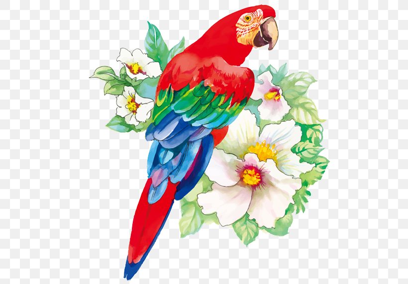 Bird Flower Drawing Watercolor Painting, PNG, 750x571px, Bird, Art, Beak, Botanical Illustration, Color Download Free