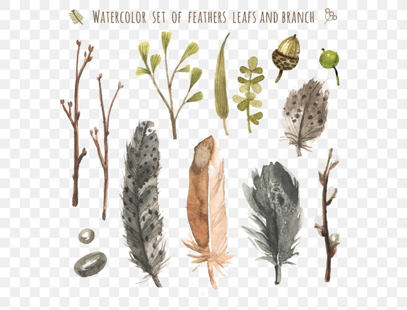 Watercolor Painting Feather Paper Pen, PNG, 626x626px, Watercolor Painting, Drawing, Feather, Flora, Leaf Download Free