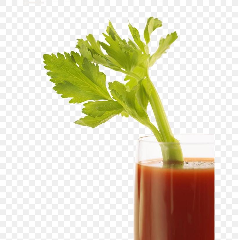 Juicer Smoothie Celery Tomato, PNG, 658x825px, Juice, Celery, Drink, Flowerpot, Food Download Free