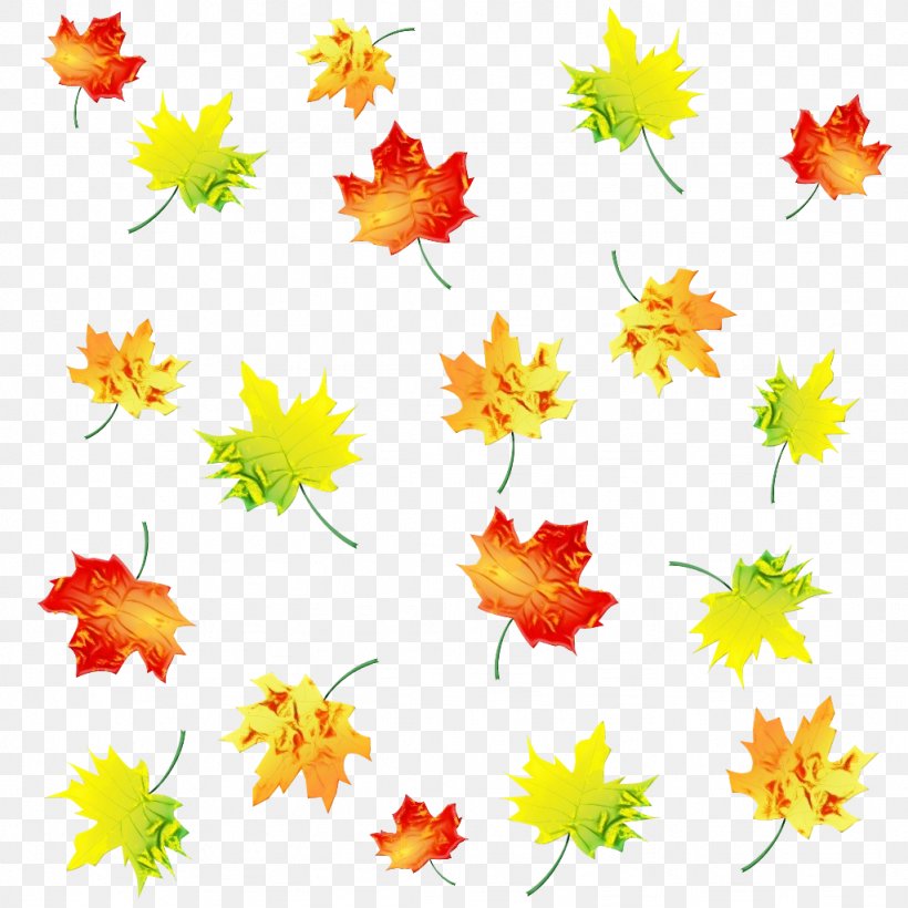 Watercolor Flower Background, PNG, 1024x1024px, Watercolor, Autumn, Autumn Leaf Color, Daisy Family, Editing Download Free