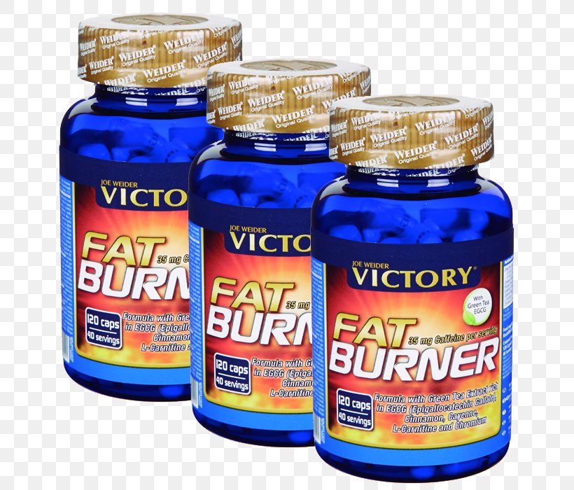 Dietary Supplement Fatburner Weight Loss Thermogenics, PNG, 700x700px, Dietary Supplement, Abdominal Obesity, Bodybuilding, Brand, Diet Download Free
