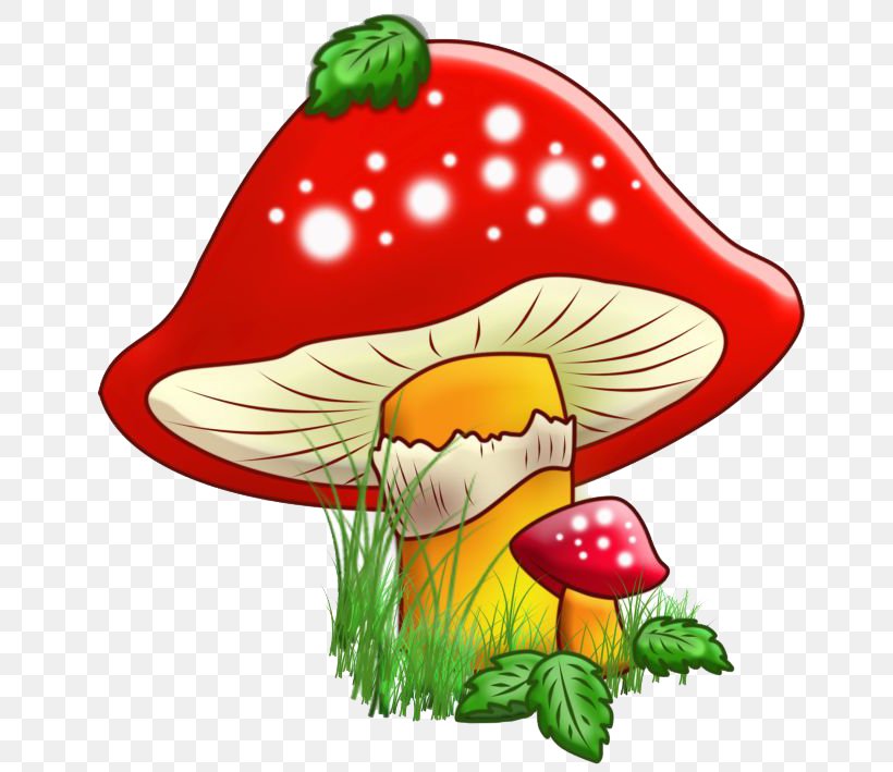 Edible Mushroom Drawing Fungus Illustration, PNG, 675x709px, Mushroom, Animation, Art, Artwork, Beak Download Free