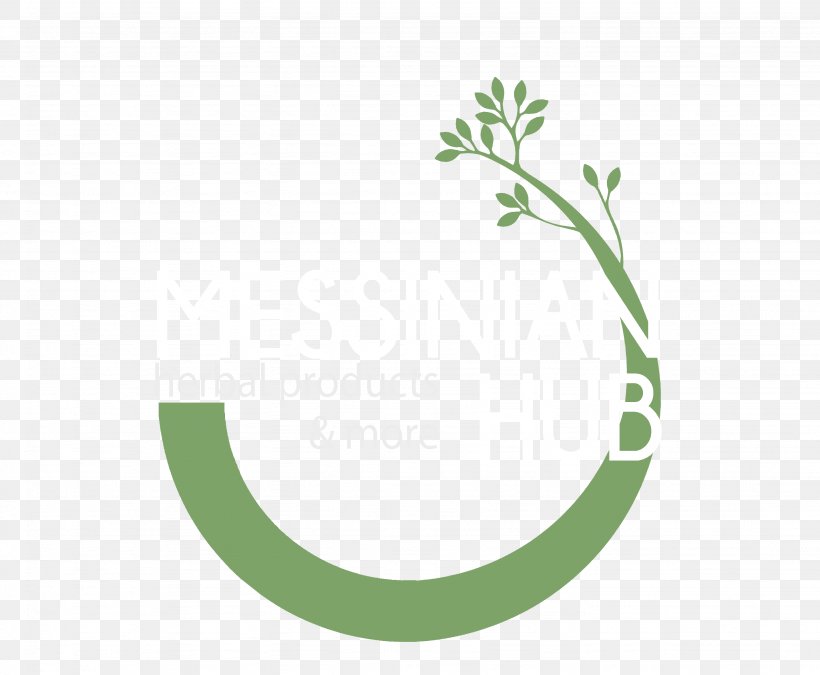 Logo Leaf Brand Font, PNG, 2868x2364px, Logo, Brand, Computer, Flora, Grass Download Free