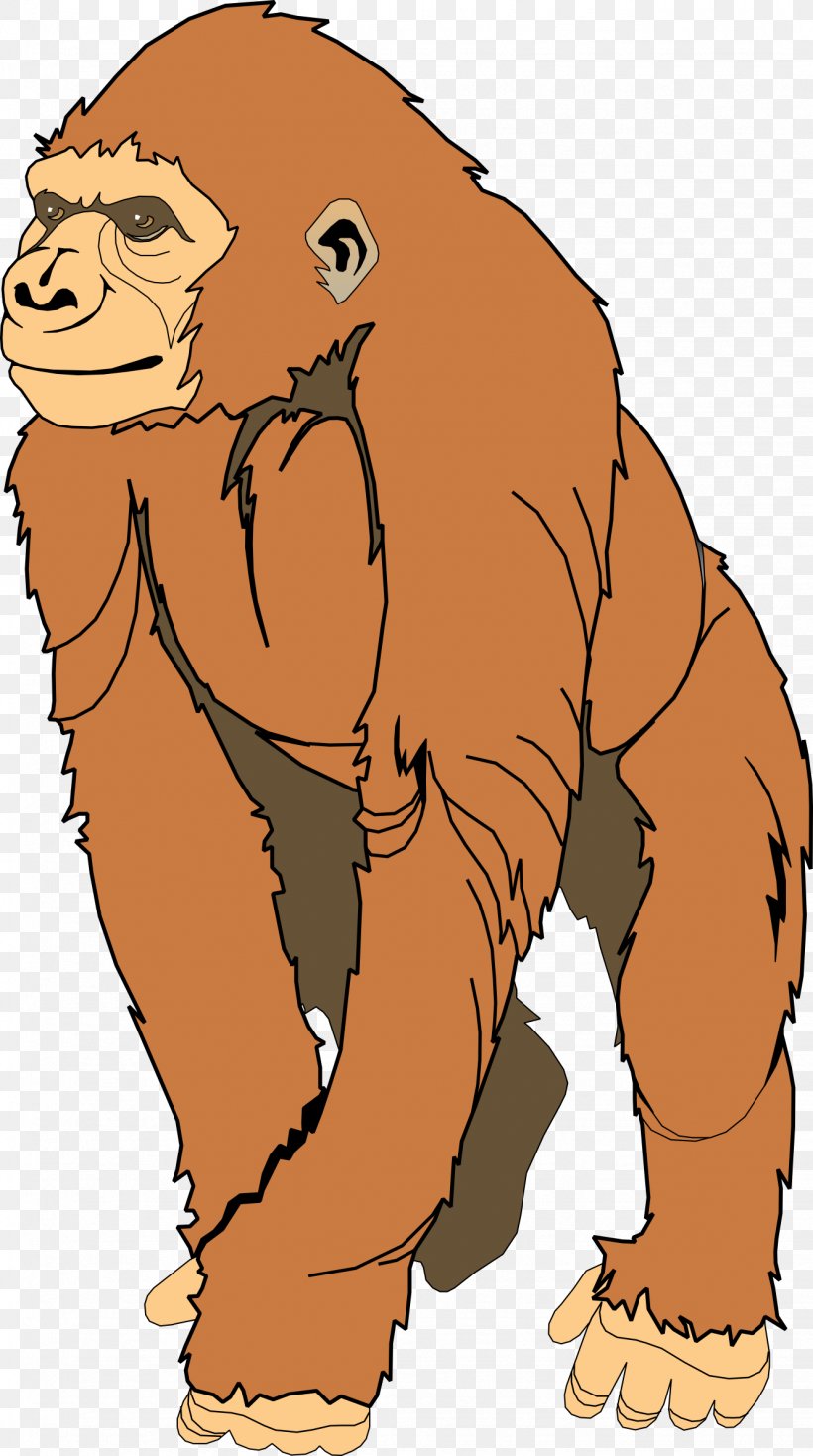 Ape Gorilla Clip Art, PNG, 1331x2383px, Ape, Animal Figure, Bear, Carnivoran, Drawing Download Free