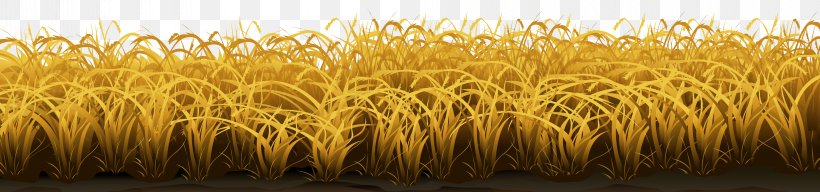 Grasses Clip Art, PNG, 8000x1875px, Grasses, Agriculture, Barley, Cereal, Color Download Free