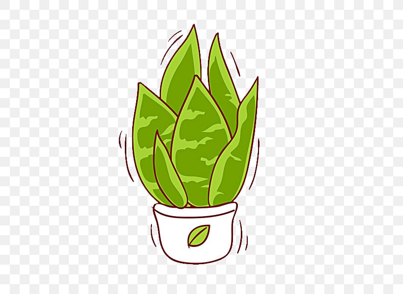 Aloe Vera Plant Illustration, PNG, 600x600px, Aloe Vera, Aloe, Color, Drawing, Flower Download Free