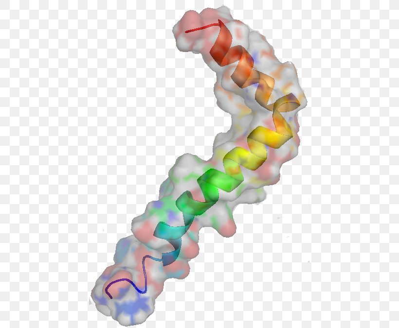 Amyloid Beta Amyloid Precursor Protein Disease, PNG, 453x675px, Amyloid Beta, Agy, Amyloid, Amyloid Precursor Protein, Cerebral Amyloid Angiopathy Download Free