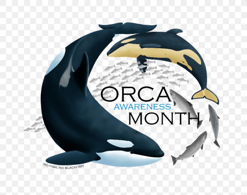 Dolphin Southern Resident Killer Whales Puget Sound Cetaceans, PNG, 800x648px, Dolphin, Automotive Design, Beak, Brand, Cetaceans Download Free