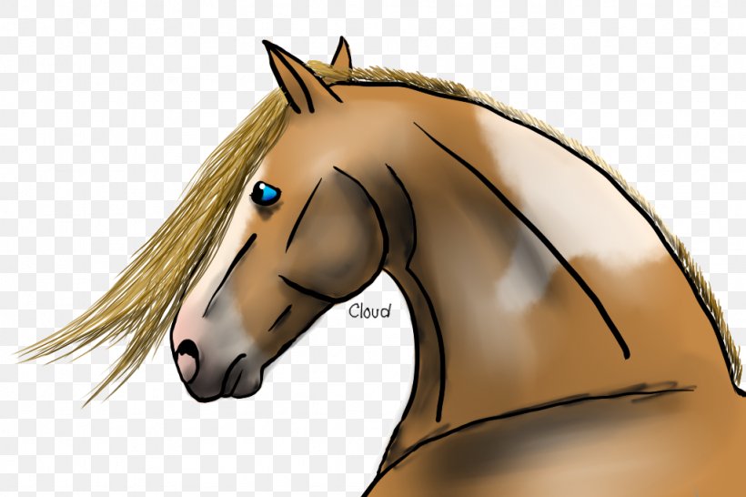 Mane Pony Mustang Halter Stallion, PNG, 1024x683px, Mane, Bridle, Colt, Ear, Fictional Character Download Free