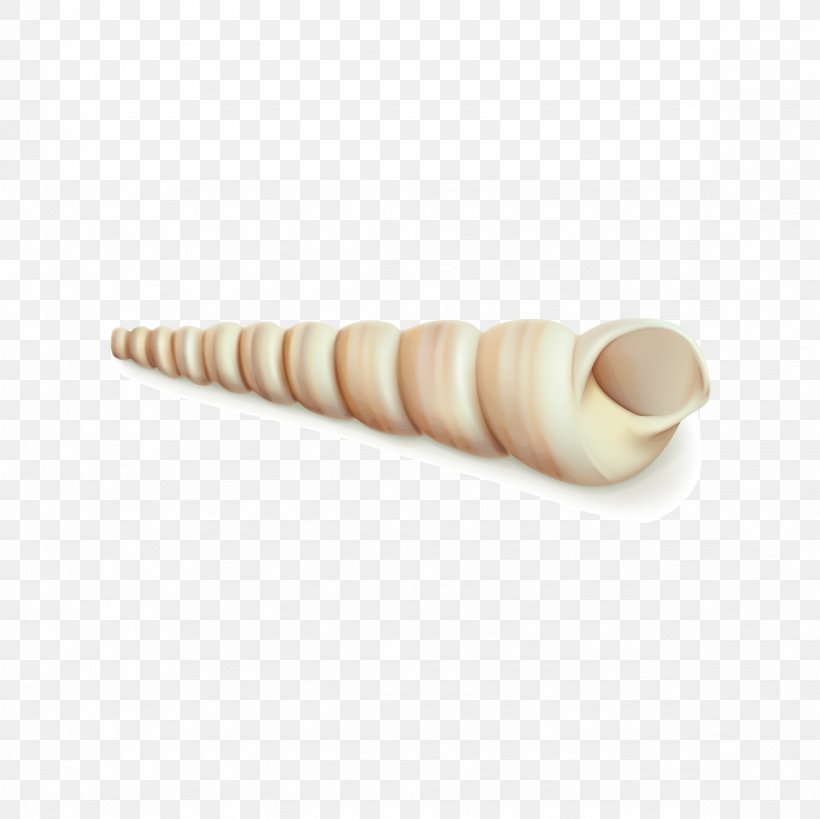 Conch, PNG, 2362x2362px, Conch, Ice Cream Cone, Plot, Seashell, Vecteur Download Free