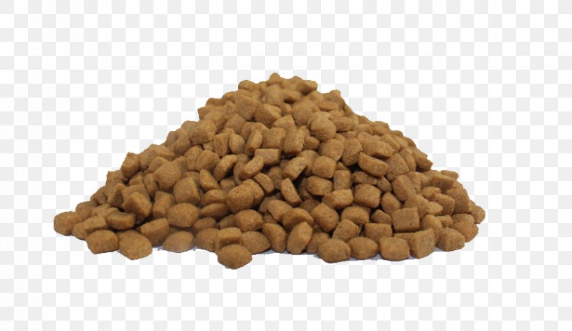 Dog Food Cat Food Pet Food, PNG, 863x500px, Dog, Bean, Cat Food, Commodity, Dog Food Download Free