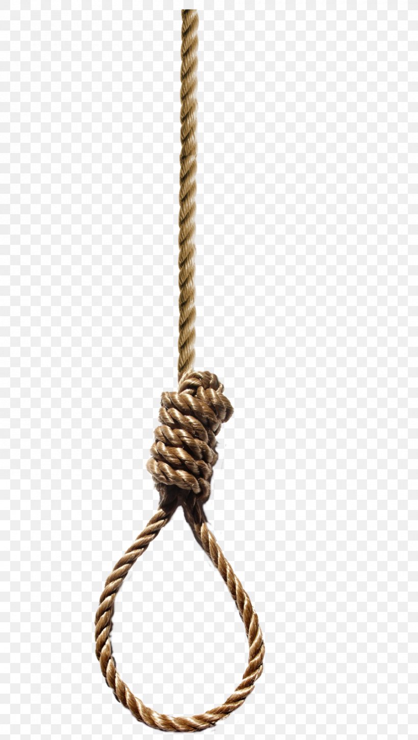 Noose Hangman's Knot Rope, PNG, 900x1593px, Noose, Bowline, Gallows, Hanging, Knot Download Free