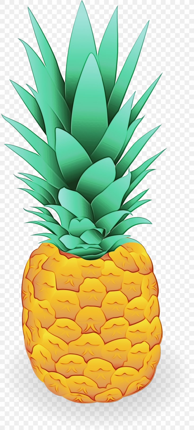 Pineapple, PNG, 902x2001px, Watercolor, Ananas, Food, Fruit, Natural Foods Download Free