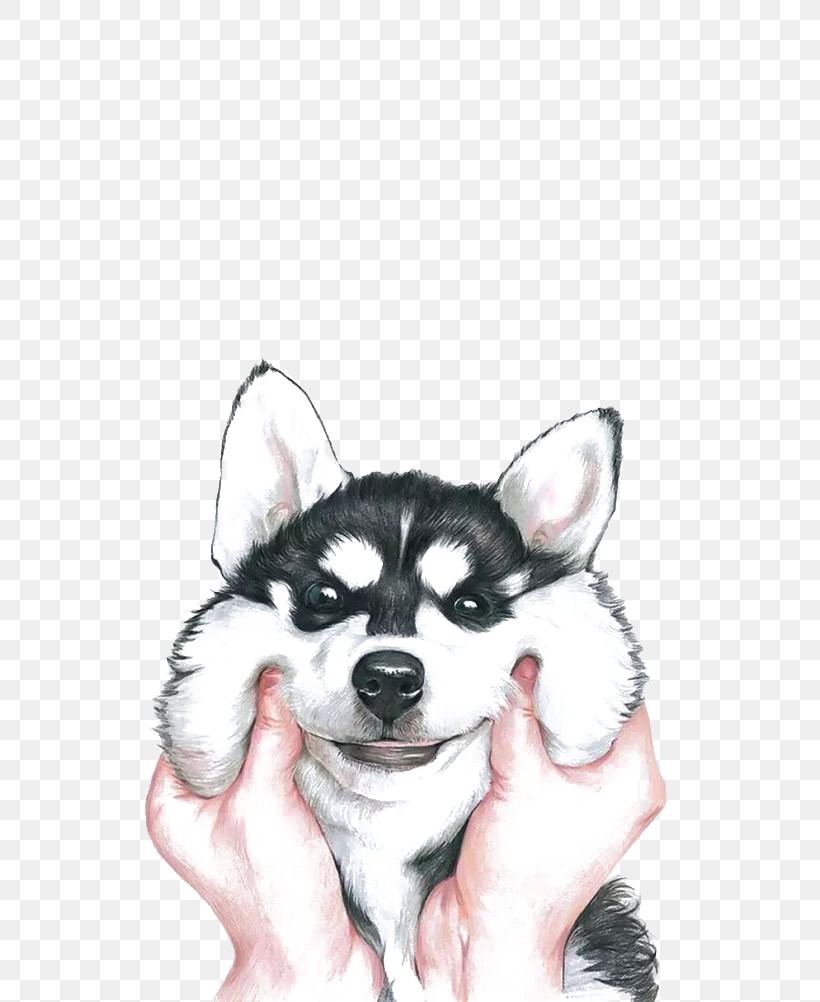 Siberian Husky IPhone X Wallpaper, PNG