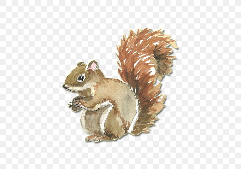 Squirrel Watercolor Painting CorelDRAW Clip Art, PNG, 576x576px, Squirrel, Animal, Chipmunk, Coreldraw, Fauna Download Free