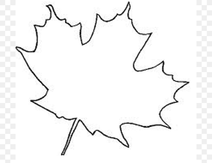 Sugar Maple Japanese Maple Canada Maple Leaf, PNG, 700x633px, Sugar Maple, Area, Artwork, Autumn, Autumn Leaf Color Download Free