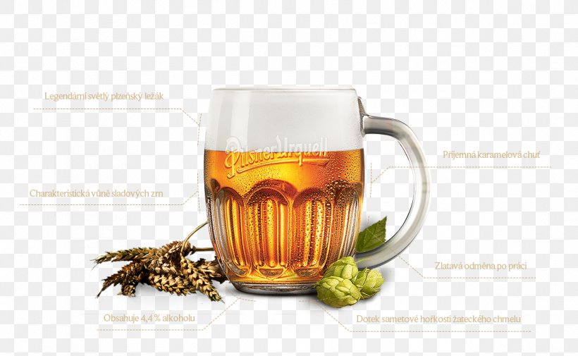 Beer Pilsner Czech Cuisine Пилзнер Drink, PNG, 1162x717px, Beer, Beer Glass, Beer Hall, Combination, Cuisine Download Free