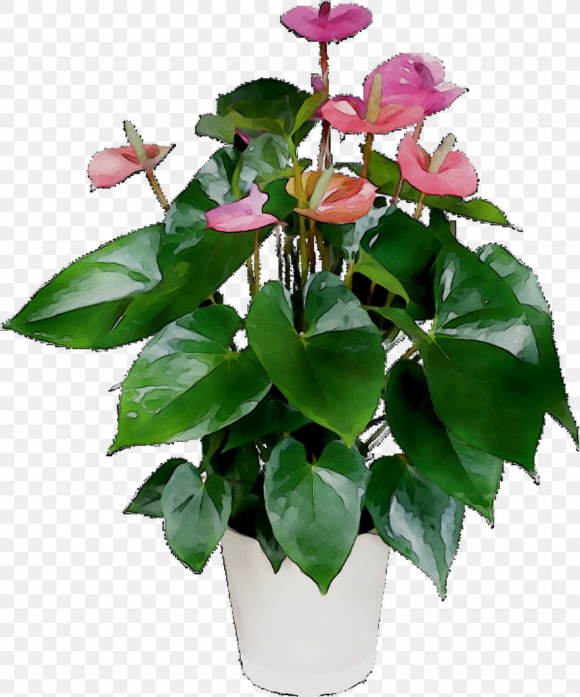 Floral Design Cut Flowers Flowerpot Leaf Plant Stem, PNG, 1097x1318px, Floral Design, Anthurium, Cut Flowers, Flower, Flowering Plant Download Free