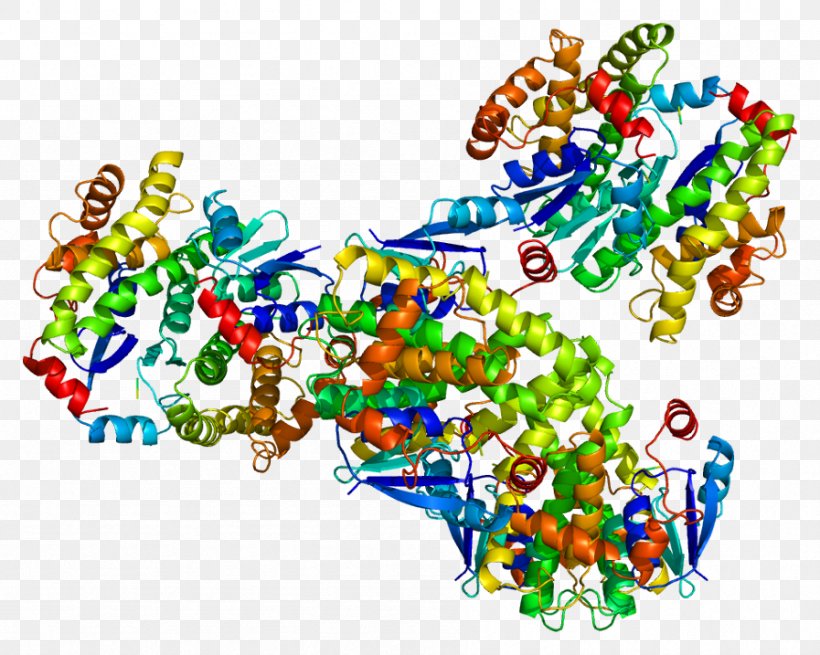 GSTA4 Glutathione S-transferase A4 Gene GSTT1, PNG, 897x717px, Glutathione Stransferase, Area, Art, Chromosome, Food Download Free