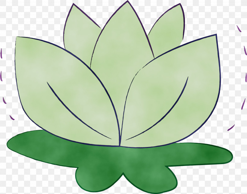 Leaf Flower Green M-tree Symmetry, PNG, 3005x2361px, Diwali, Biology, Deepavali, Dipawali, Divali Download Free