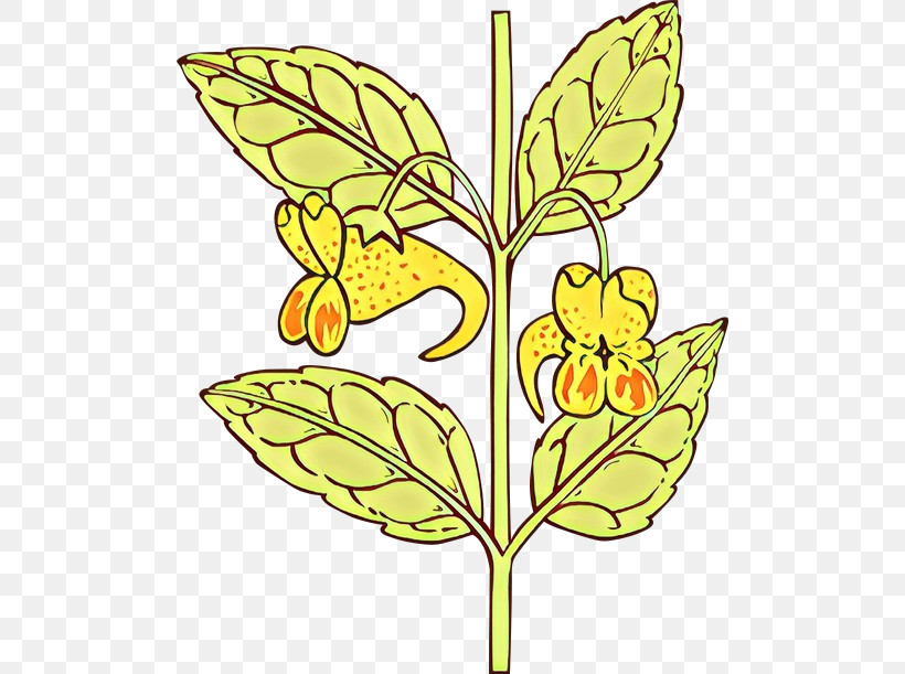 Leaf Flower Plant Yellow Pedicel, PNG, 500x611px, Leaf, Flower, Herbaceous Plant, Pedicel, Plant Download Free