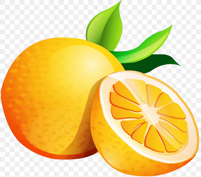 Orange, PNG, 3000x2644px, Citrus, Bitter Orange, Calamondin, Citric Acid, Citron Download Free