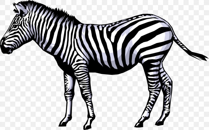 Zebra Animation Clip Art, PNG, 1119x700px, Zebra, Animal Figure, Animation, Black And White, Cuteness Download Free