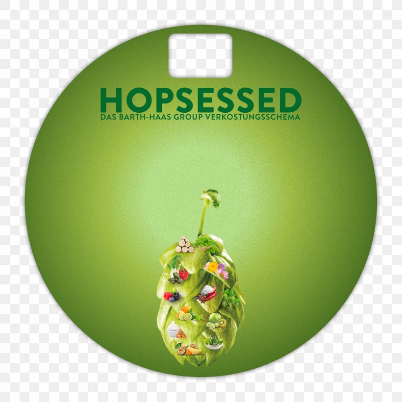 Beer Joh. Barth & Sohn GmbH & Co. KG Saaz Hops Quality Management Research, PNG, 2480x2480px, Beer, Afacere, Christmas Ornament, Common Hop, Fact Download Free