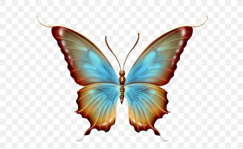 Butterfly Graphic Design, PNG, 600x502px, Butterfly, Arthropod, Brush Footed Butterfly, Color Television, Designer Download Free