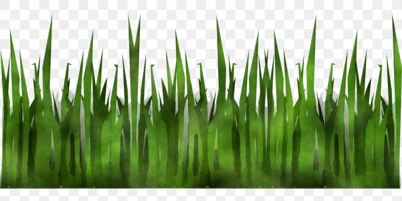 Colorgardenカラーガーデン Close-up March Computer Wheatgrass, PNG, 1920x960px, Closeup, Calendar, Car Park, Cash Register, Commodity Download Free