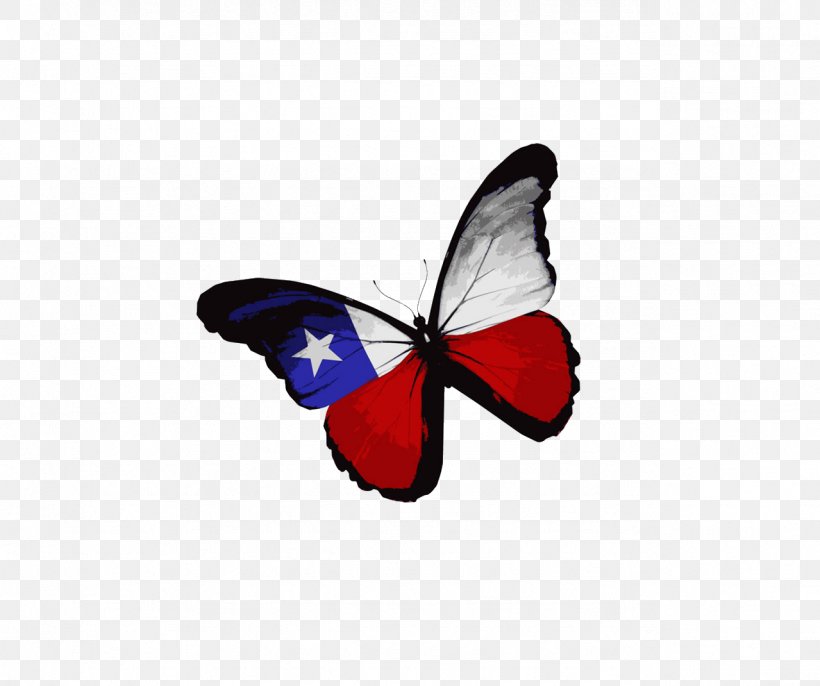 Flag Of Texas Flag Of The United States Flag Of Oman Stock Photography, PNG, 1279x1070px, Texas, Brush Footed Butterfly, Butterfly, Flag, Flag Of Chile Download Free