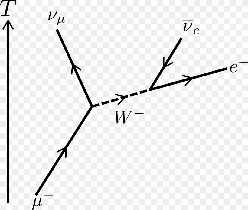 Muon Feynman Diagram Lepton Subatomic Particle, PNG, 1200x1018px, Muon, Area, Black And White, Boson, Branch Download Free