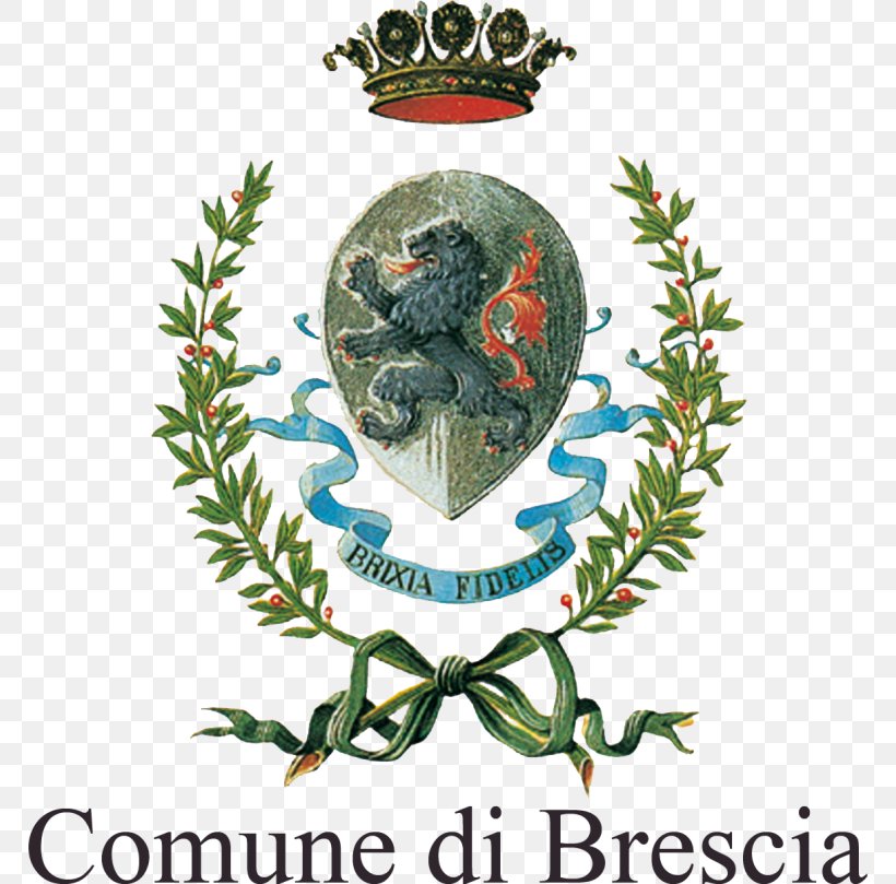 Corte Franca Scaip Brescia Medicus Mundi Voluntary Association, PNG, 768x809px, Brescia, Art, Branch, Christmas Decoration, Christmas Ornament Download Free