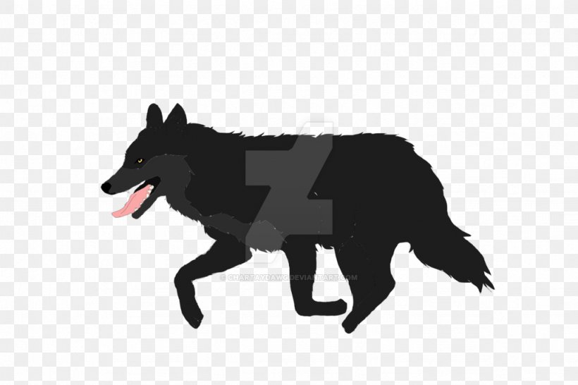 Dog Mammal Canidae Snout Carnivora, PNG, 1024x682px, Dog, Animal, Black, Black M, Canidae Download Free
