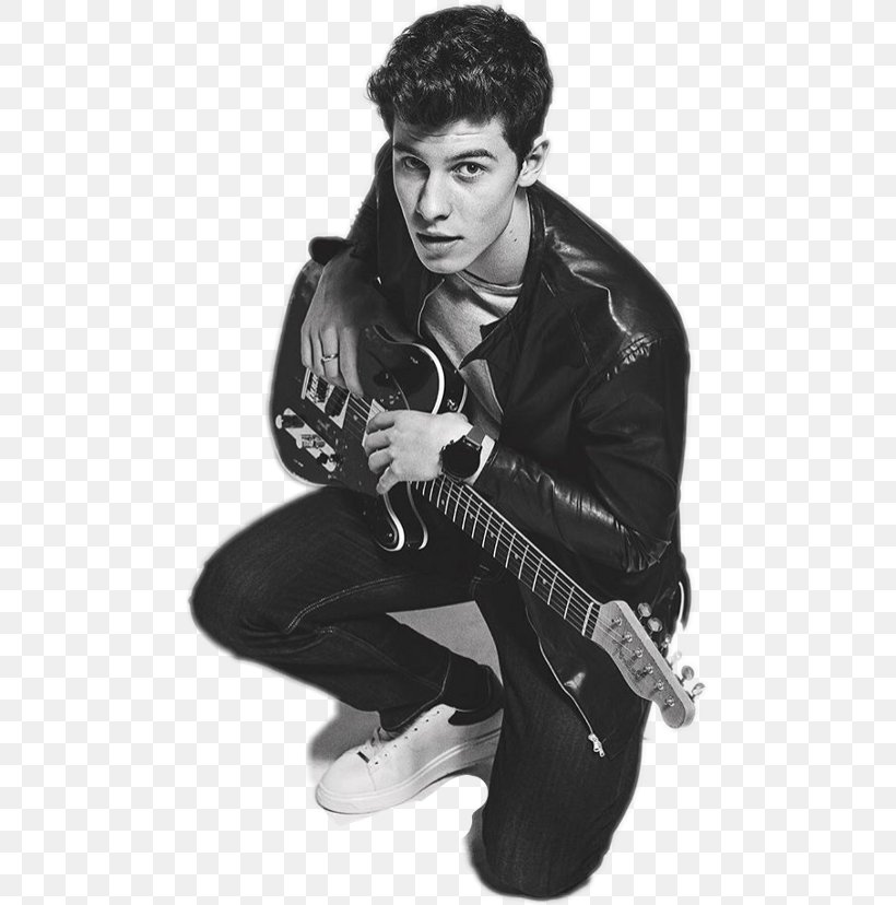 Shawn Mendes Singer-songwriter Guitarist Musician, PNG, 480x828px, Watercolor, Cartoon, Flower, Frame, Heart Download Free