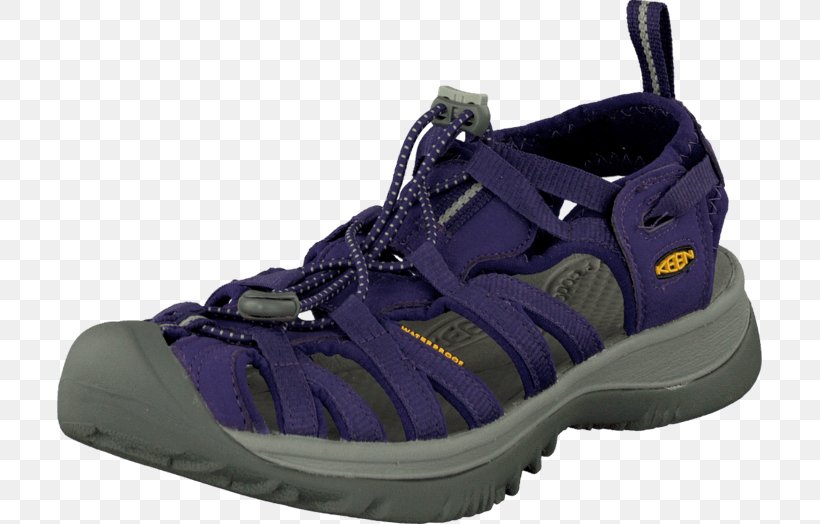Sports Shoes Hiking Boot Walking, PNG, 705x524px, Sports Shoes, Cross Training Shoe, Crosstraining, Electric Blue, Footwear Download Free
