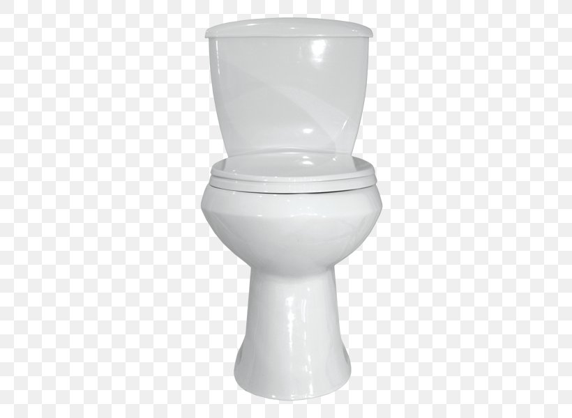 Toilet Seat Flush Toilet Ceramic Vsya Santekhnika, PNG, 800x600px, Plumbing Fixtures, Ceramic, Flush Toilet, Plumbing Fixture, Product Download Free